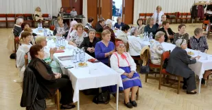 Babicka Roka Senica Jednota Dochodcov