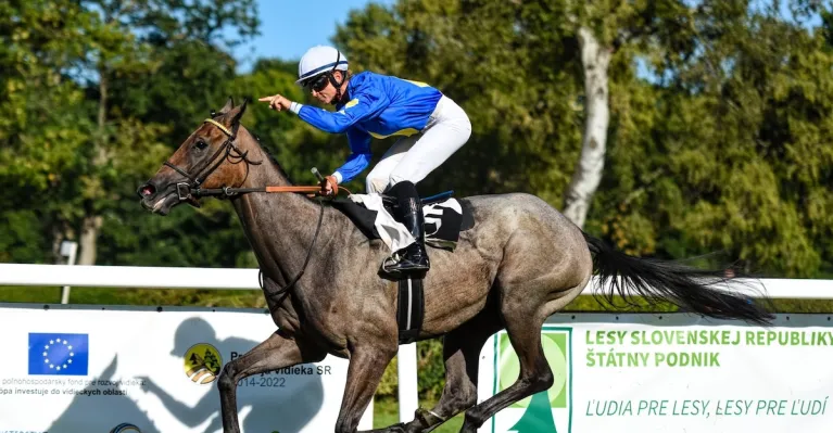 kobyla Zuri, foto Miroslav Abík, dostihy.sk