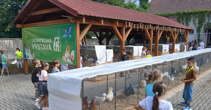 Chovatelska Vystava Sekule 2
