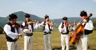 Minarikovci Ludova Hudba