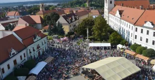 Skalicke Dni 2014