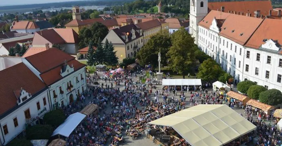 Skalicke Dni 2014