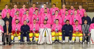 Hc Dukla Senica Hokej