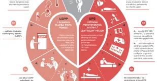Infografika Ako Vyhladat Pohotovost
