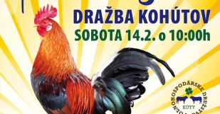 Fasang Pd Kuty Kohuzia Drazba Web