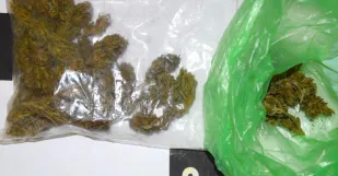 Marihuana Skalica