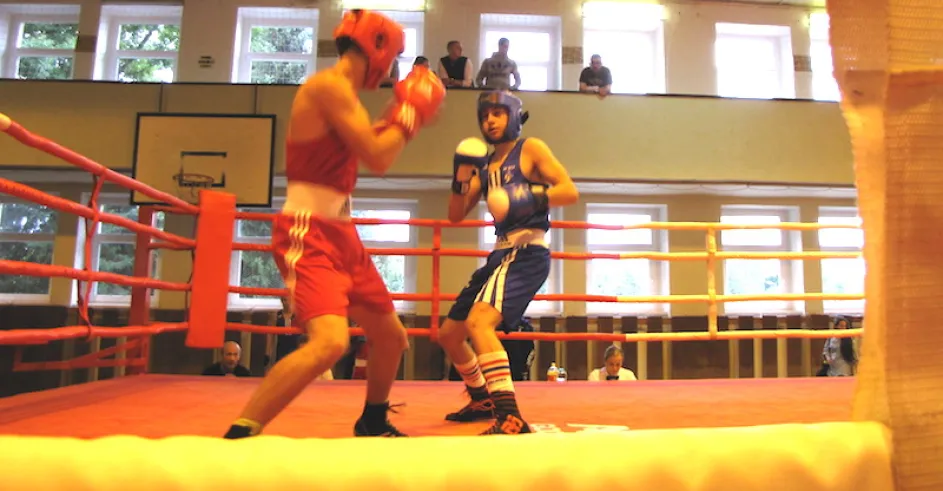 Manule Šomorjai v Modrom Bc Rtj Box Malacky