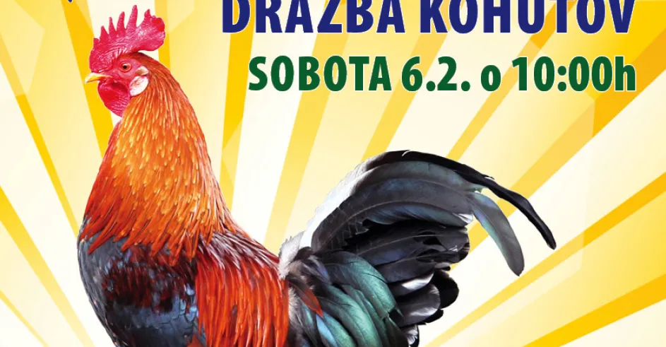 Fasang Pd Kuty Kohuzia Drazba 2016