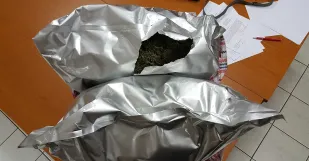 Marihuana Brodske1