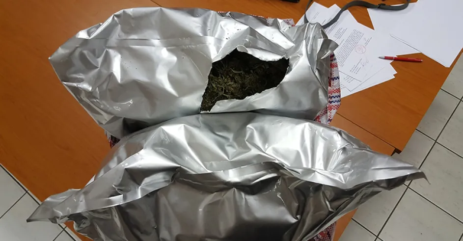 Marihuana Brodske1