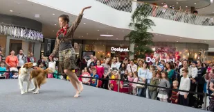 Bory Mall Boriesok 2