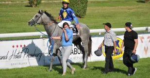Kobyla Zoriana Pd Senica Stefan Budovic