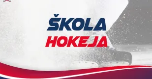 Skola Hokeja Dafko Ice School