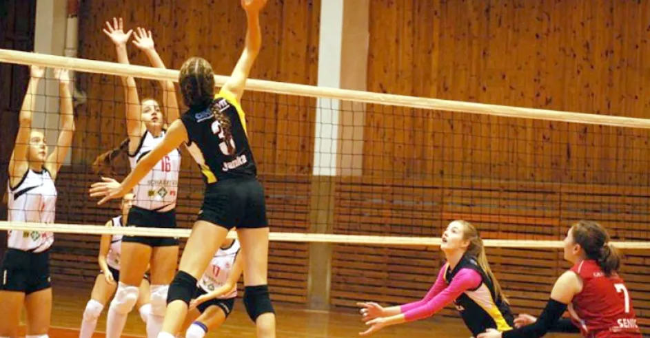 Volejbal Senica