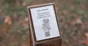 Nove Smerovniky a Arboretum Malacky