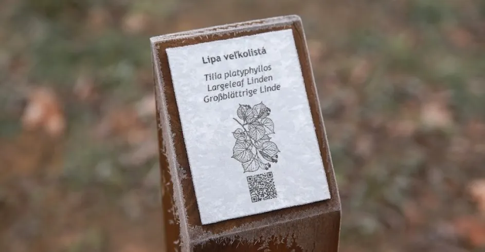 Nove Smerovniky a Arboretum Malacky