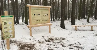 Naucny Chodnik Gbely