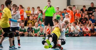 Hadzana Stupava Playminihandball 2018 8