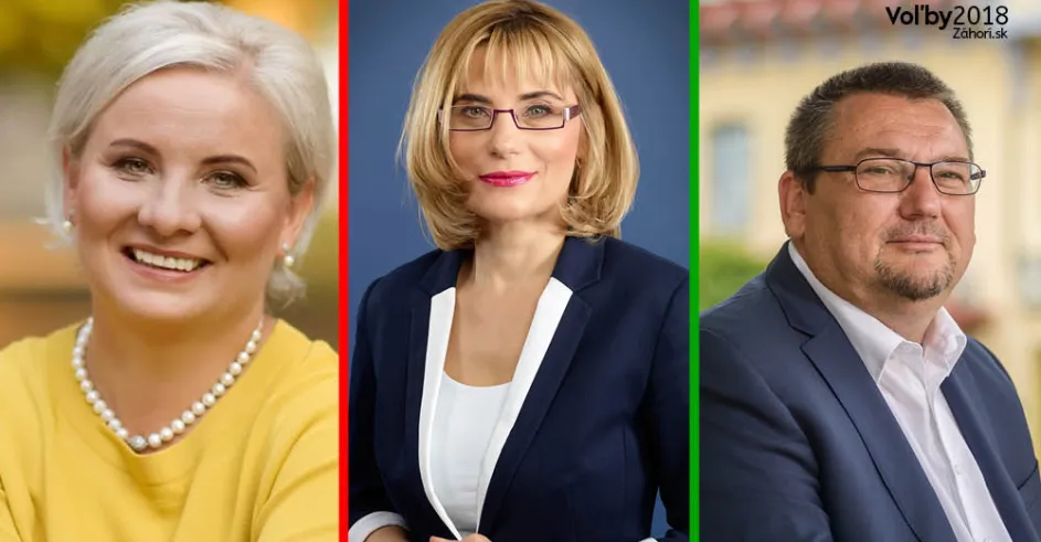 Volby Skalica Luptakova Mierna Roman