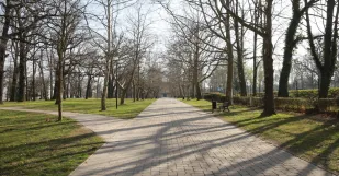 Malacky Vysadia Nove Dreviny