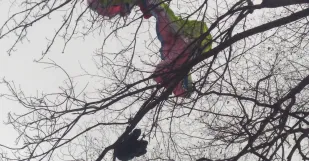 Solosnica Paraglajdista