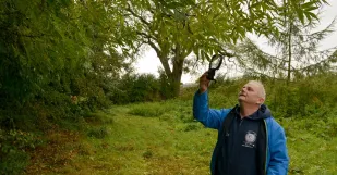 Rob Mcbride Tree Hunter Lipa