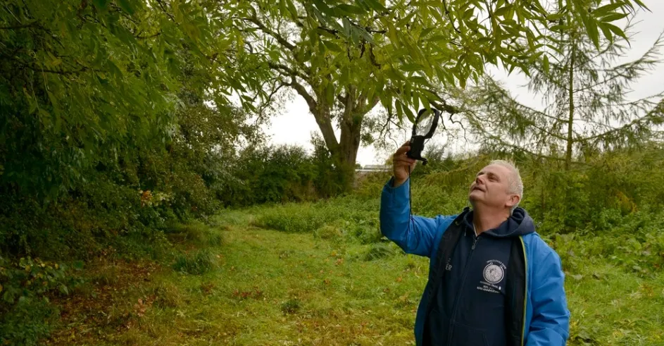 Rob Mcbride Tree Hunter Lipa