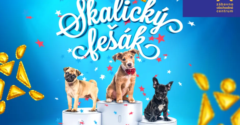 Zoc Max Fesak 2019