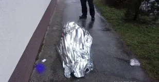 Muz Malacky Mestka Policia