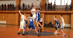 Basketbal Holic