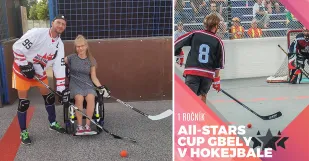 Hokejbal