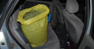 Policia Skalica Marihuana