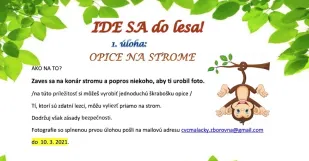 Cvc Malacky Sutaz Ide Sa do Lesa