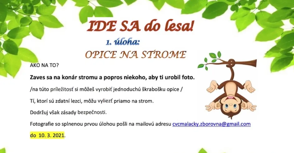 Cvc Malacky Sutaz Ide Sa do Lesa