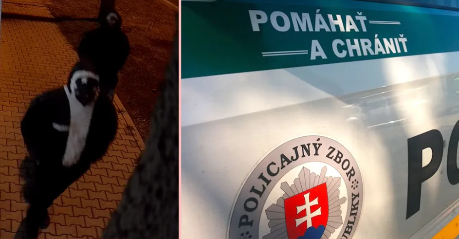 Policia Stupava Prepadnutie