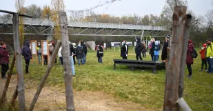 Bsk Cesta Zeleznej Opony 6