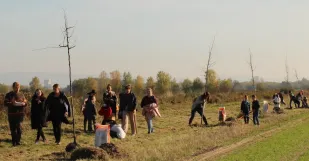 Lipová Alej Veľké Leváre