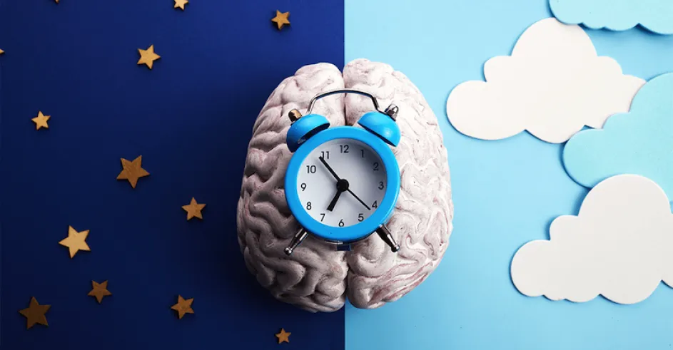 Spanok Vas Lekarnik Blog Pravidlo