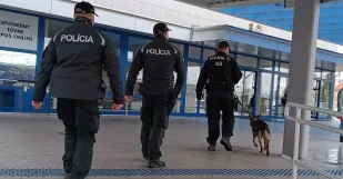Policia Modra 24 Pesjpg