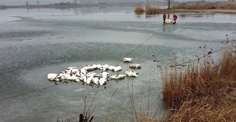 ilustračné foto archív Správa CHKO Záhorie