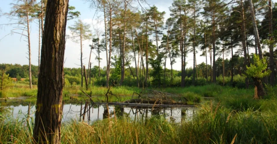 Zahorie Mokrade