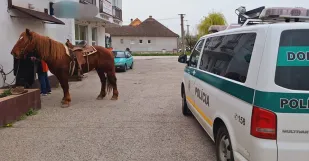 Policia Jablonica Kon