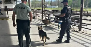 Policia Zeleznica Kuty Vlak 2