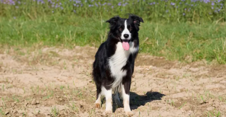 ilustračné foto 123rf.com