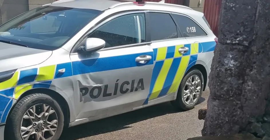Policia Holic