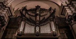 Organ