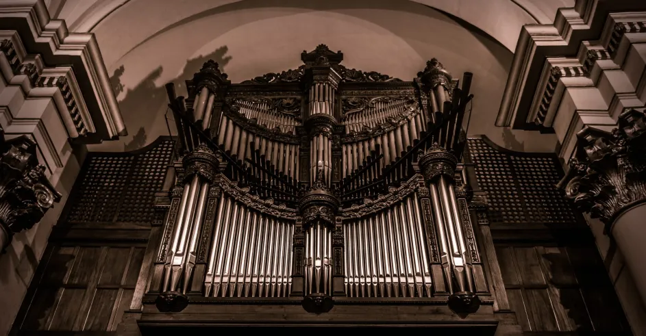 Organ