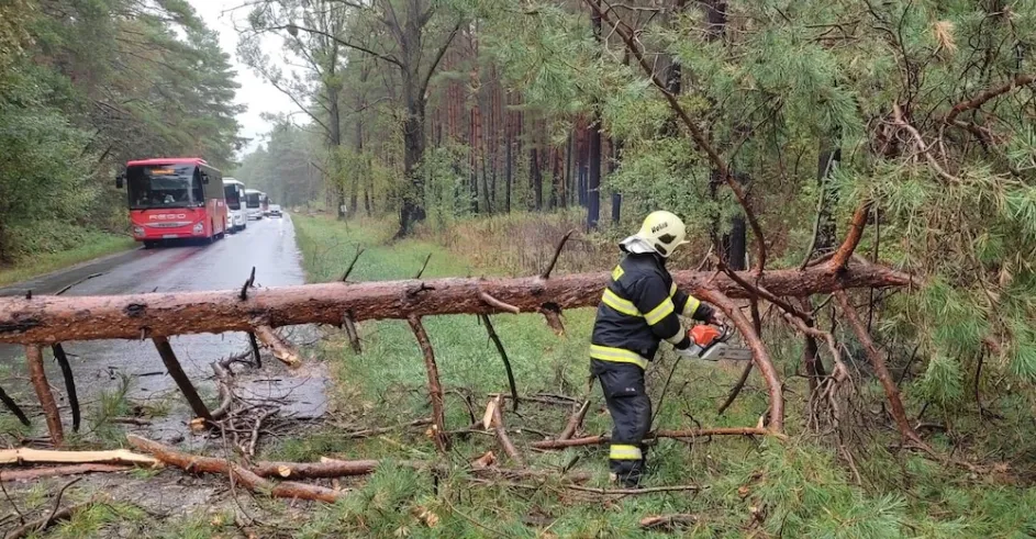 Zasah Hasici Hazz Bratislavsky Kraj Spadnuty Strom