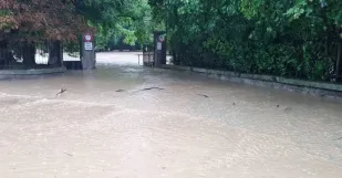 Stupava Povoden