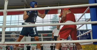 Niko Sivak Box.jpg